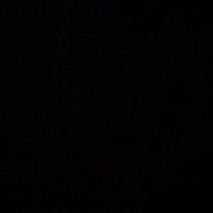 Meet your Posher, Lilly